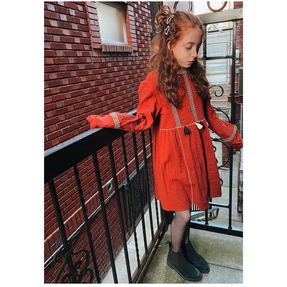 Zara embroidered dress